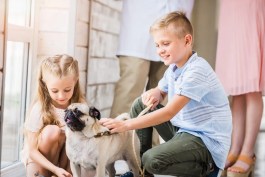 Estudo Indica Que Companhia De Pets Causa Impacto Positivo Na Vida Das Criancas 2